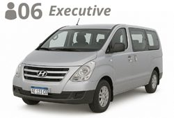 MINIVAN, up to 6 passengers with luggageem